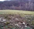 Снимка 4 — Парцел в Габрово, с. Раховци