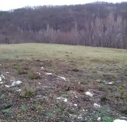 Photo 4 — Plot in Oblast Gabrovo, Rahovci