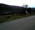 Снимка 5 — Парцел в Габрово, с. Раховци