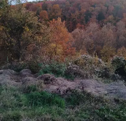 Photo 4 — Plot in Oblast Gabrovo, Stolyt