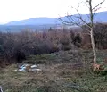 Снимка 3 — Парцел в Габрово, с. Янковци