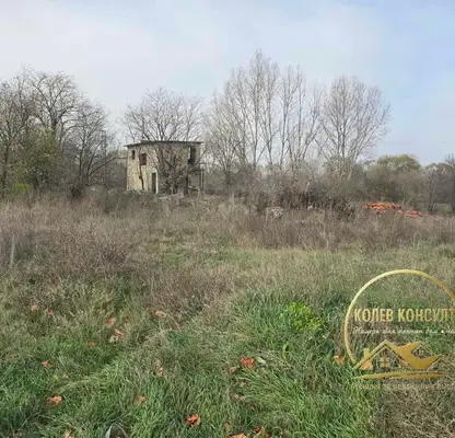 Photo 4 — Plot in Oblast Haskovo, Dobrich