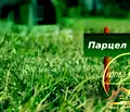 Снимка 2 — Парцел в Хасково, с. Крум