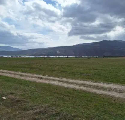 Снимка 2 — Парцел в Кърджали, с. Широко поле