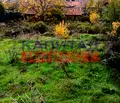 Снимка 5 — Парцел в Кюстендил, Кочериново