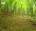 Снимка 2 — Парцел в Ловеч, Априлци