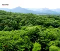 Снимка 3 — Парцел в Ловеч, Априлци