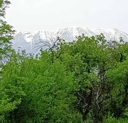 Снимка 4 — Парцел в Ловеч, Априлци