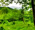 Снимка 5 — Парцел в Ловеч, Априлци