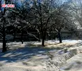 Снимка 3 — Парцел в Ловеч, Априлци