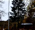 Снимка 4 — Парцел в Ловеч, Тетевен