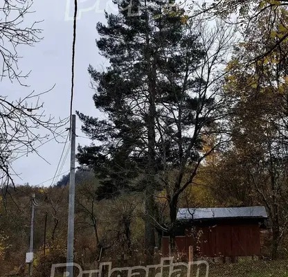 Photo 4 — Plot in Oblast Lovech, Teteven