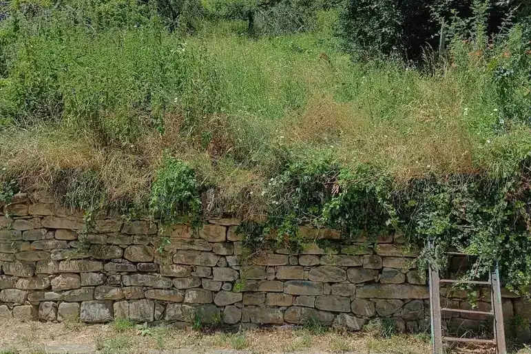 Парцел в Ловеч, с. Черни Осъм