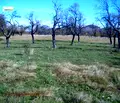 Снимка 2 — Парцел в Ловеч, с. Орешак