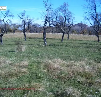 Photo 2 — Plot in Oblast Lovech, Oreshak