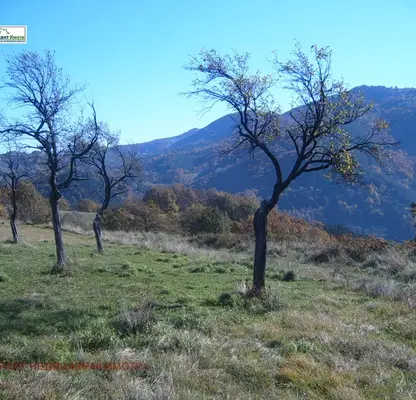 Photo 3 — Plot in Oblast Lovech, Oreshak