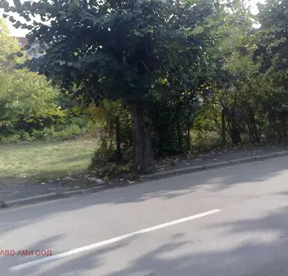 Снимка 3 — Парцел в Монтана, Вършец