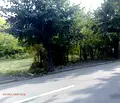 Снимка 4 — Парцел в Монтана, Вършец