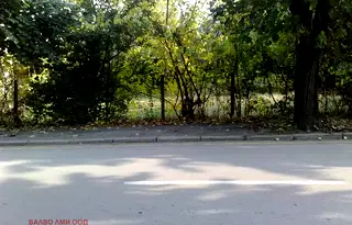 Парцел в Монтана, Вършец