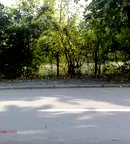 Парцел в Монтана, Вършец