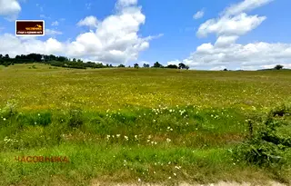 Парцел в Пазарджик, м-т Цигов чарк