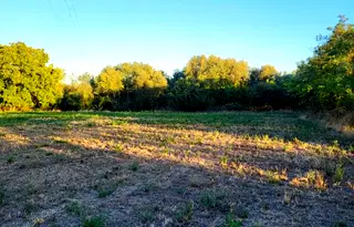 Парцел в Пазарджик, с. Бошуля