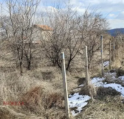Photo 2 — Plot in Pazardjik, s. Tsrancha