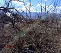 Снимка 3 — Парцел в Пазарджик, с. Црънча