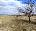 Снимка 4 — Парцел в Пазарджик, с. Црънча