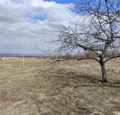 Photo 4 — Plot in Pazardjik, s. Tsrancha