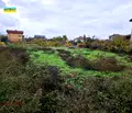 Снимка 4 — Парцел в Пазарджик, с. Добровница