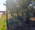 Снимка 5 — Парцел в Пазарджик, с. Калугерово