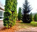 Снимка 3 — Парцел в Перник, Брезник