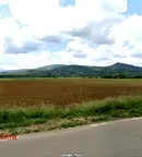 Парцел в Перник, Трън
