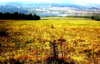 Парцел в Перник, яз. Пчелина
