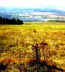Парцел в Перник, яз. Пчелина