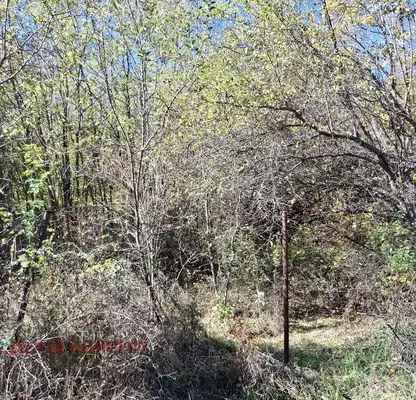 Снимка 3 — Парцел в Перник, с. Горна Диканя