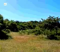 Снимка 5 — Парцел в Перник, с. Студена