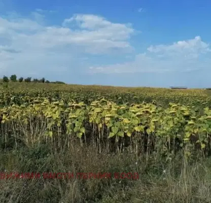 Снимка 5 — Парцел в Перник, с. Витановци