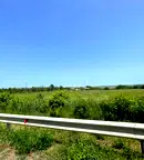 Парцел в Плевен, с. Брестовец