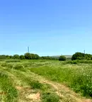 Парцел в Плевен, с. Брестовец