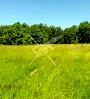 Парцел в Пловдив, Перущица