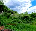 Снимка 3 — Парцел в Пловдив, с. Белащица