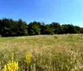 Снимка 5 — Парцел в Пловдив, с. Бойково