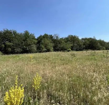 Photo 5 — Plot in Oblast Plovdiv, Boikovo