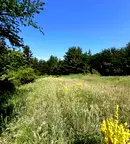 Парцел в Пловдив, с. Бойково