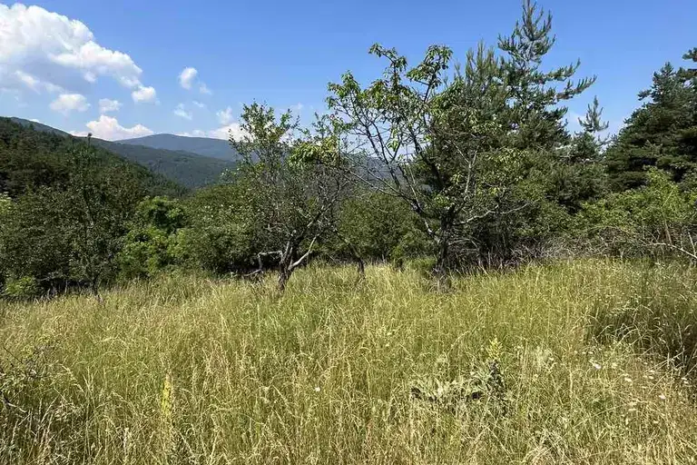 Парцел в Пловдив, с. Бойково