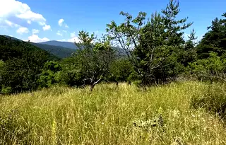 Парцел в Пловдив, с. Бойково
