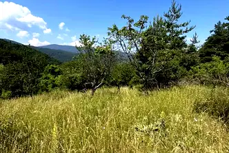 Парцел в Пловдив, с. Бойково