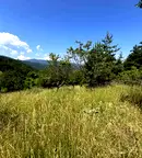 Парцел в Пловдив, с. Бойково
